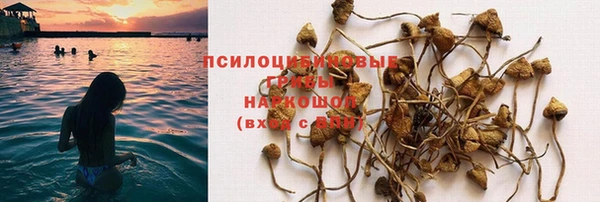 MESCALINE Алзамай