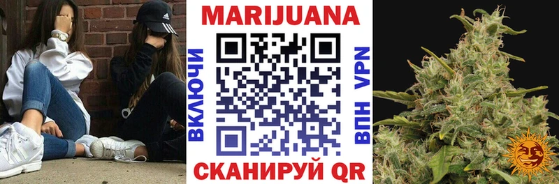Конопля Bruce Banner  Балабаново 